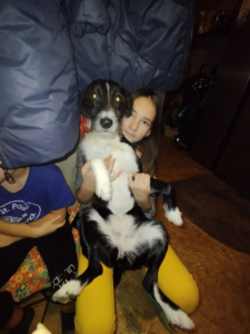 зображення_2026-02-18_211121178